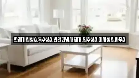 쓰레기집청소.특수청소.반려견냄새제거.입주청소.이사청소.사무소