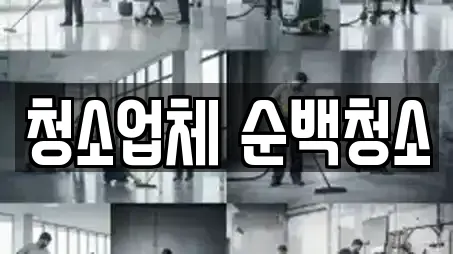청소업체 순백청소