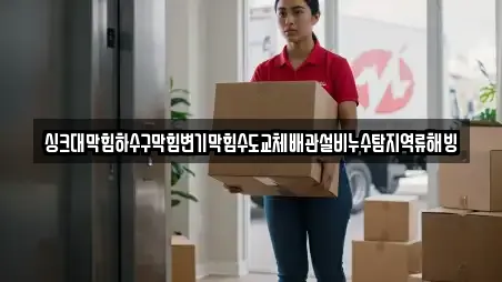 싱크대막힘하수구막힘변기막힘수도교체배관설비누수탐지역류해빙
