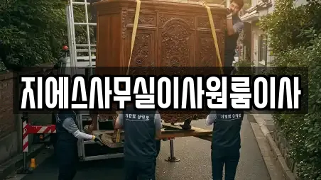 16곳의 서울특별시 다동 원룸이사 전문업체