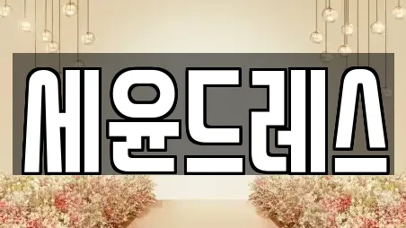 세윤드레스