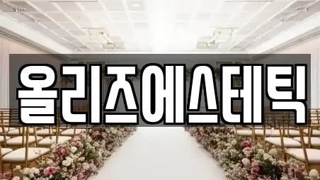 서울특별시 중구 소공동 웨딩드레스 가격 비교 18
