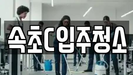 속초C입주청소