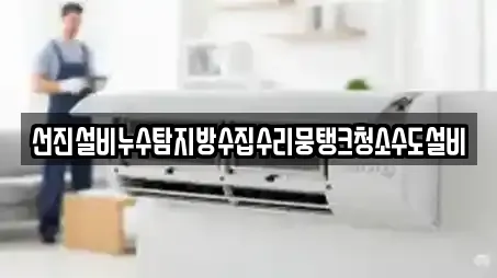 선진설비누수탐지방수집수리뭉탱크청소수도설비