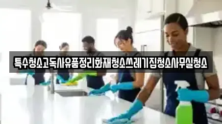 신명동 사무실청소,상가청소,청소업체,청소,입주청소 6 업체