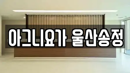 아그니요가 울산송정