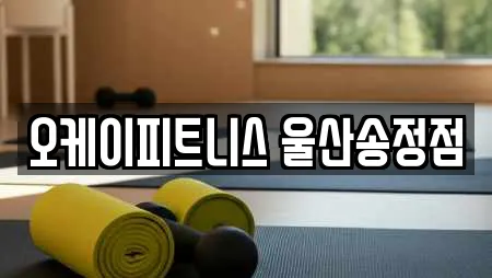 오케이피트니스 울산송정점