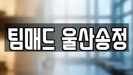 팀매드 울산송정