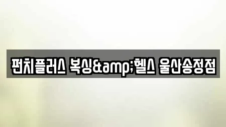 펀치플러스 복싱&헬스 울산송정점