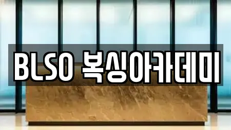 BLSO 복싱아카데미