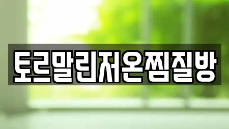 토르말린저온찜질방