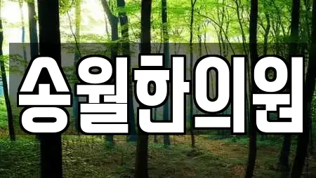 송월한의원