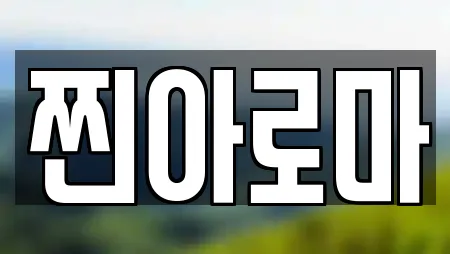 찐아로마