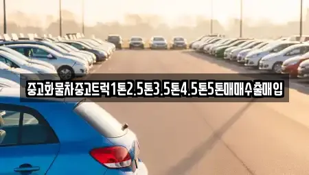 전남 영암군 서호면 전문 렌트카,장기렌트카,중고차,자동차전시장 업체 3 위치