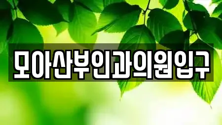 모아산부인과의원입구