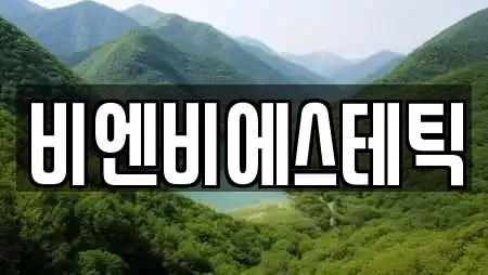 비엔비에스테틱