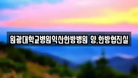 원광대학교병원익산한방병원 양.한방협진실