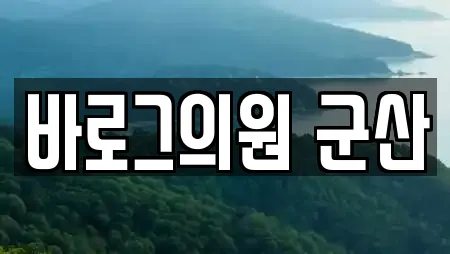 바로그의원 군산