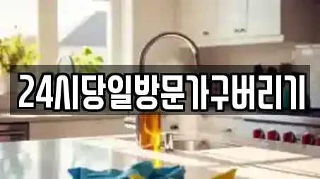 24시당일방문가구버리기