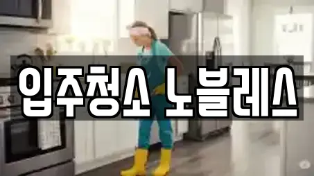 입주청소 노블레스