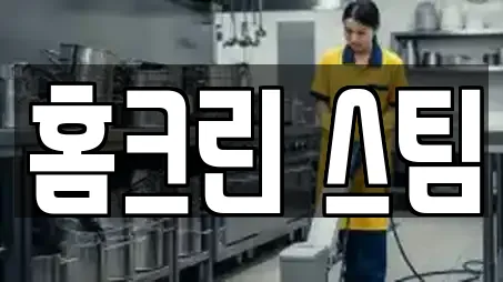 홈크린 스팀