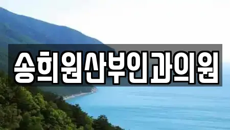 전북특별자치도 전주시 덕진구 반월동 산부인과 업체 안내 16건 전북특별자치도 전주시 덕진구 반월동 산부인과 업체 안내 16건