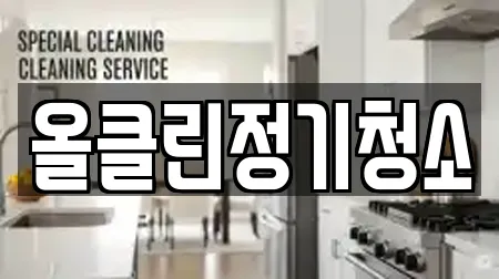 올클린정기청소