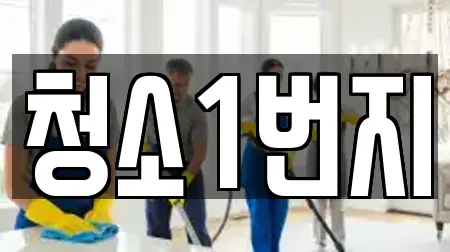 청소1번지