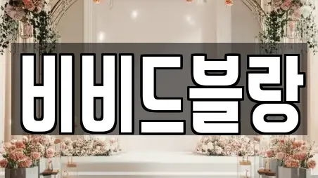 비비드블랑