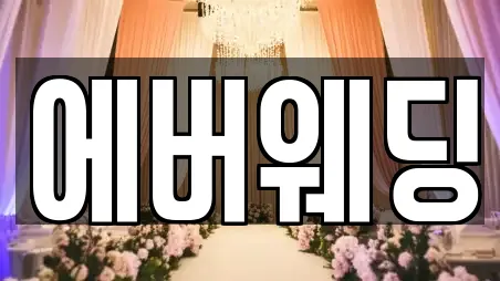 제주 제주시 아라일동 웨딩드레스 전문 20정보