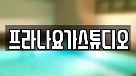 프라나요가스튜디오