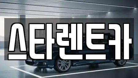 스타렌트카
