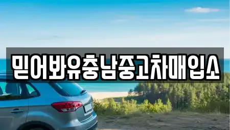 믿어봐유충남중고차매입소