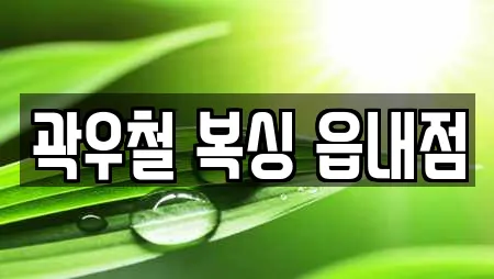 곽우철 복싱 읍내점