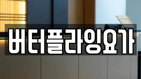 버터플라잉요가