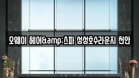 오웨이 헤어&스파 성성호수라운지 천안