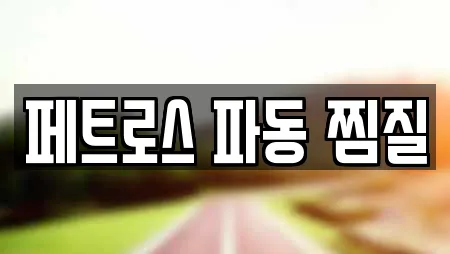 페트로스 파동 찜질
