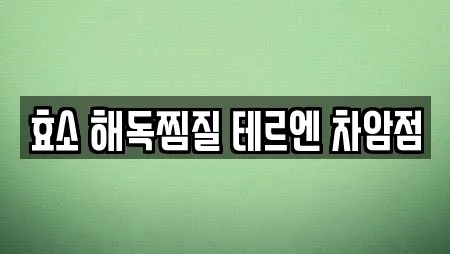 효소 해독찜질 테르엔 차암점