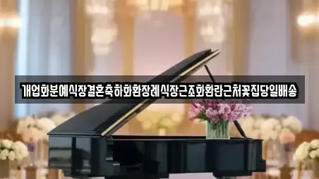 개업화분예식장결혼축하화환장례식장근조화환란근처꽃집당일배송