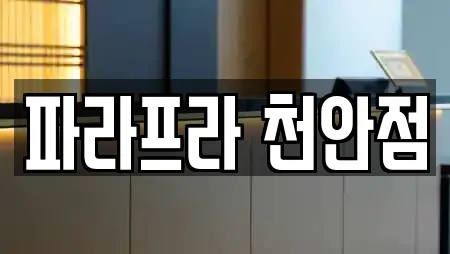 파라프라 천안점