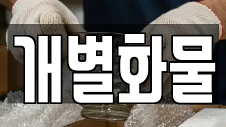 개별화물