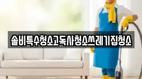 솔비특수청소고독사청소쓰레기집청소