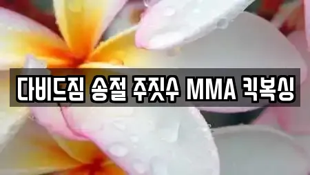 다비드짐 송절 주짓수 MMA 킥복싱