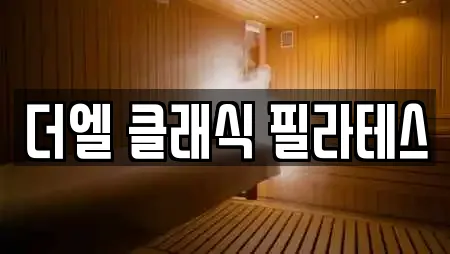 더엘 클래식 필라테스