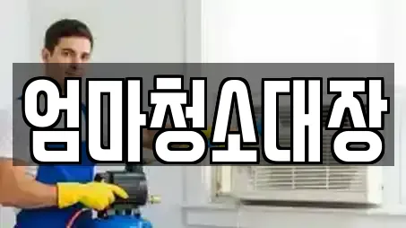 엄마청소대장