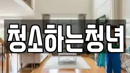 청소하는청년