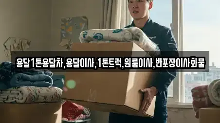 용달1톤용달차,용달이사,1톤트럭,원룸이사,반포장이사화물