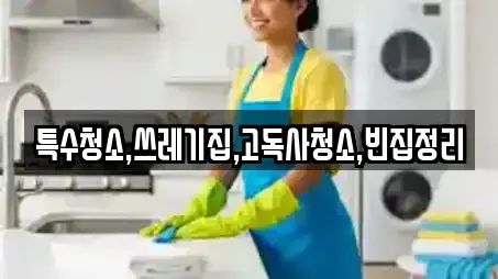 특수청소,쓰레기집,고독사청소,빈집정리