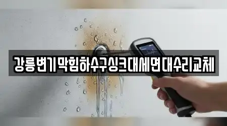 8 가까운 싱크대뚫음,누수탐지,변기막힘,하수구막힘,하수구뚫음 강릉시 입암동 리스트