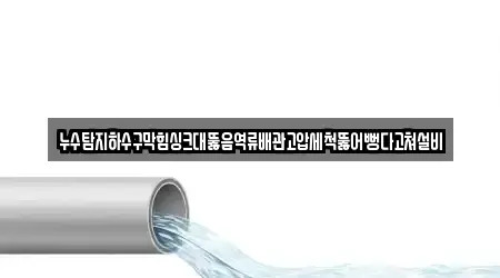 누수탐지하수구막힘싱크대뚫음역류배관고압세척뚫어뻥다고쳐설비